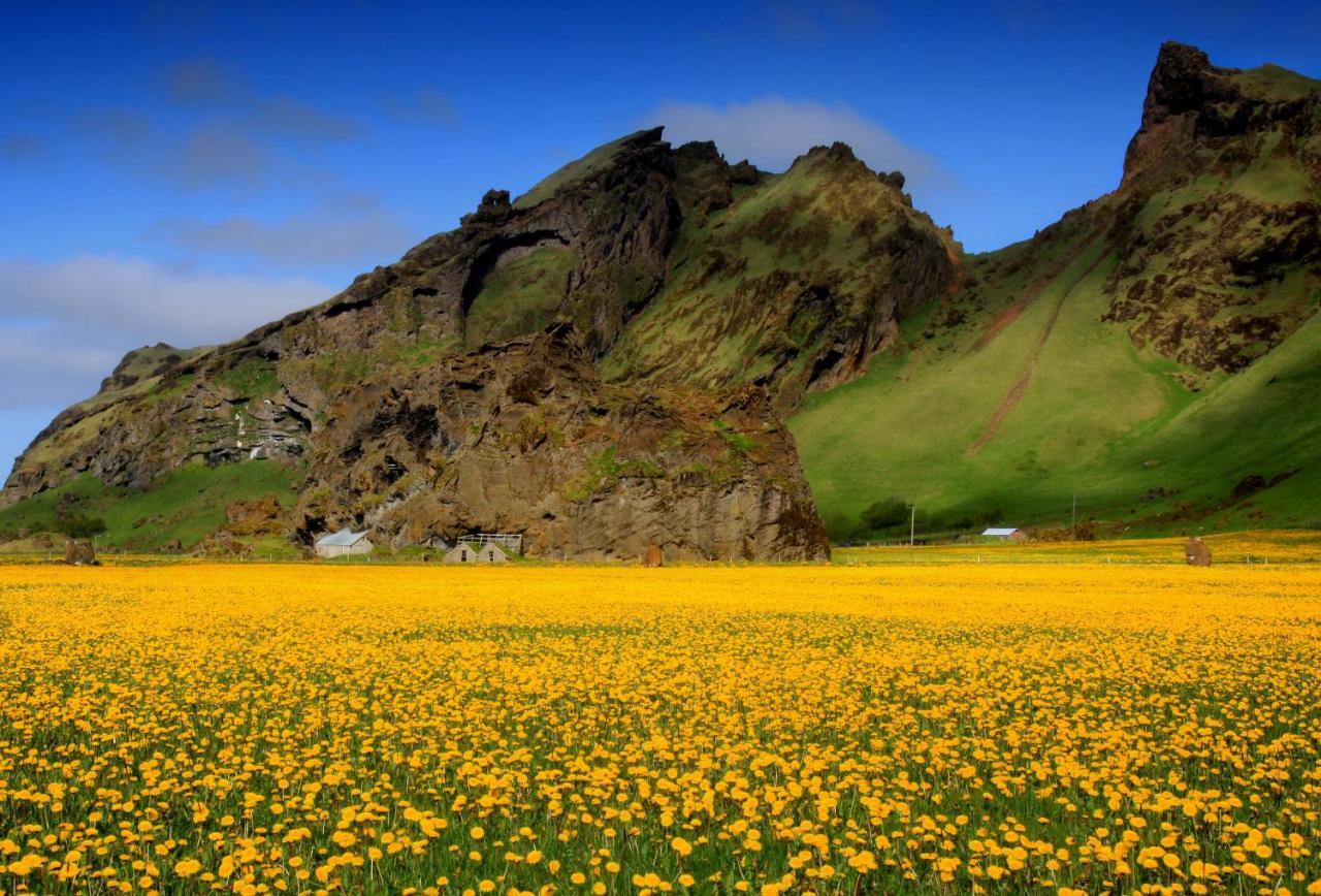 Cozy Cottage By Stay In Iceland Hvolsvöllur Quarto foto